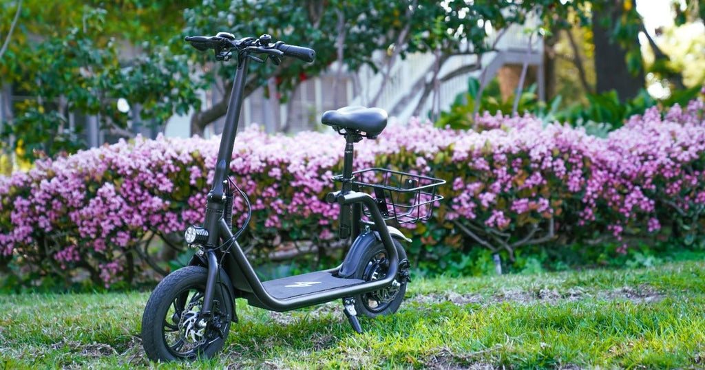 Revolutionizing Transportation: How E-Scooters Can Power a Greener Future - Phantomgogo