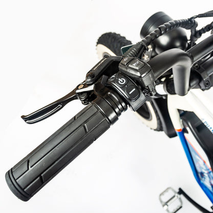 CAFE MAX P20 EBIKE